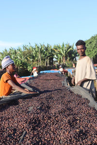 Thumbnail for Ethiopia Guji-Hambela Grade 1