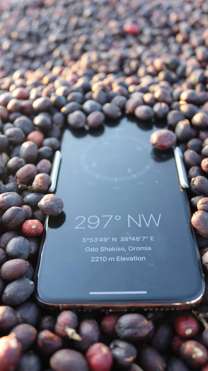 Ethiopia Guji-Hambela Grade 1