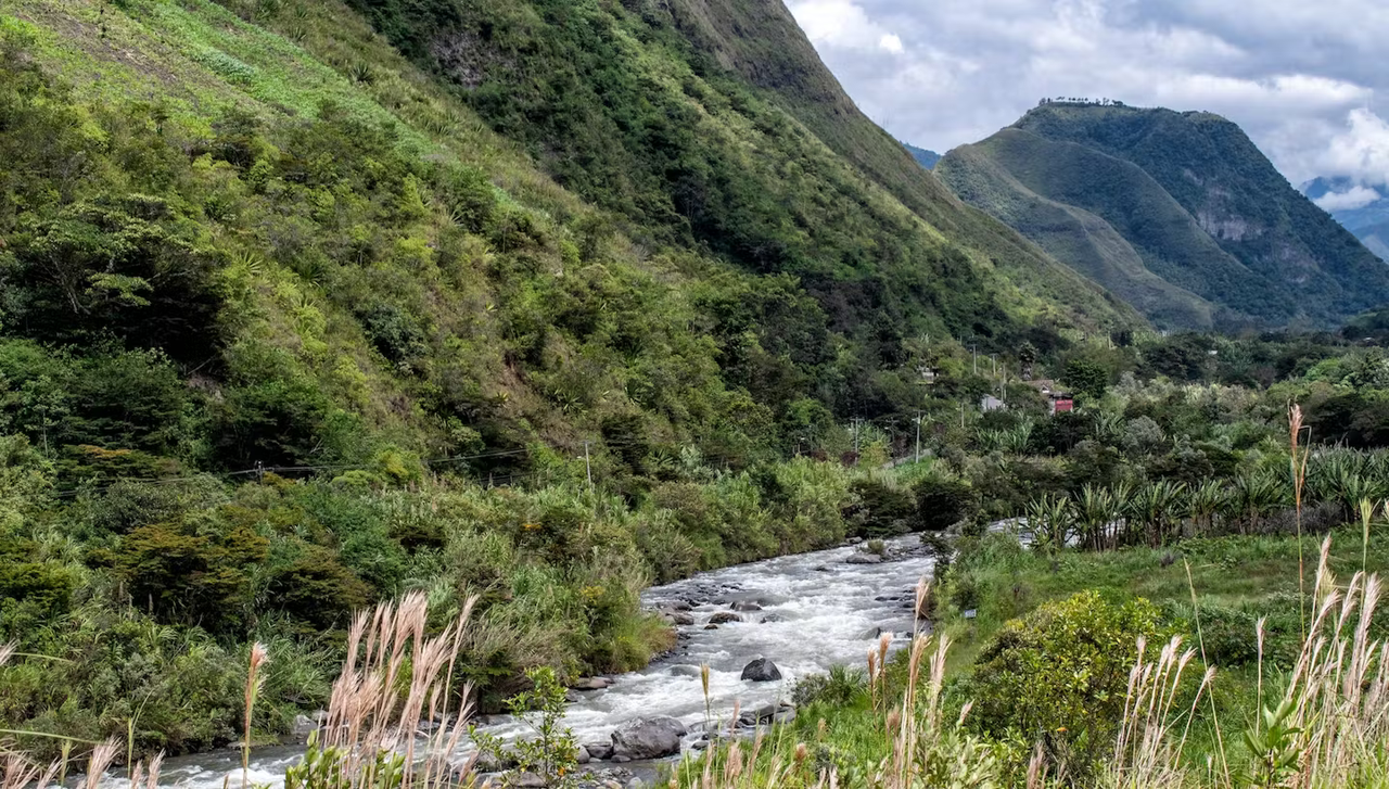 Ecuador AACRI Intag Valley Washed