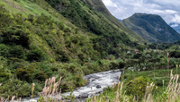Thumbnail for Ecuador AACRI Intag Valley Washed