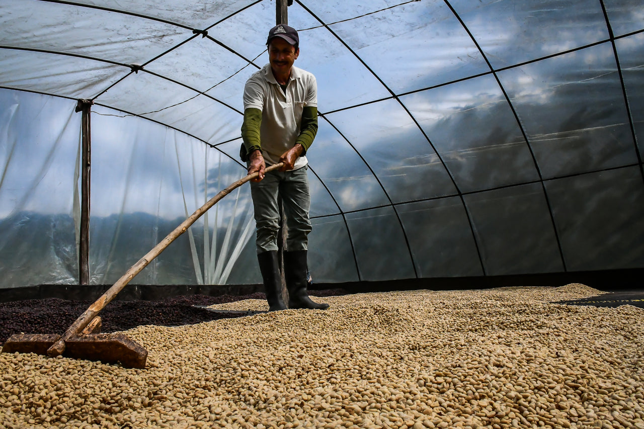 Colombia El Rincon - Diego Horta