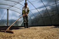 Thumbnail for Colombia El Rincon - Diego Horta