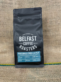 Thumbnail for Guatemala Finca La Pila - Jorge Guzman