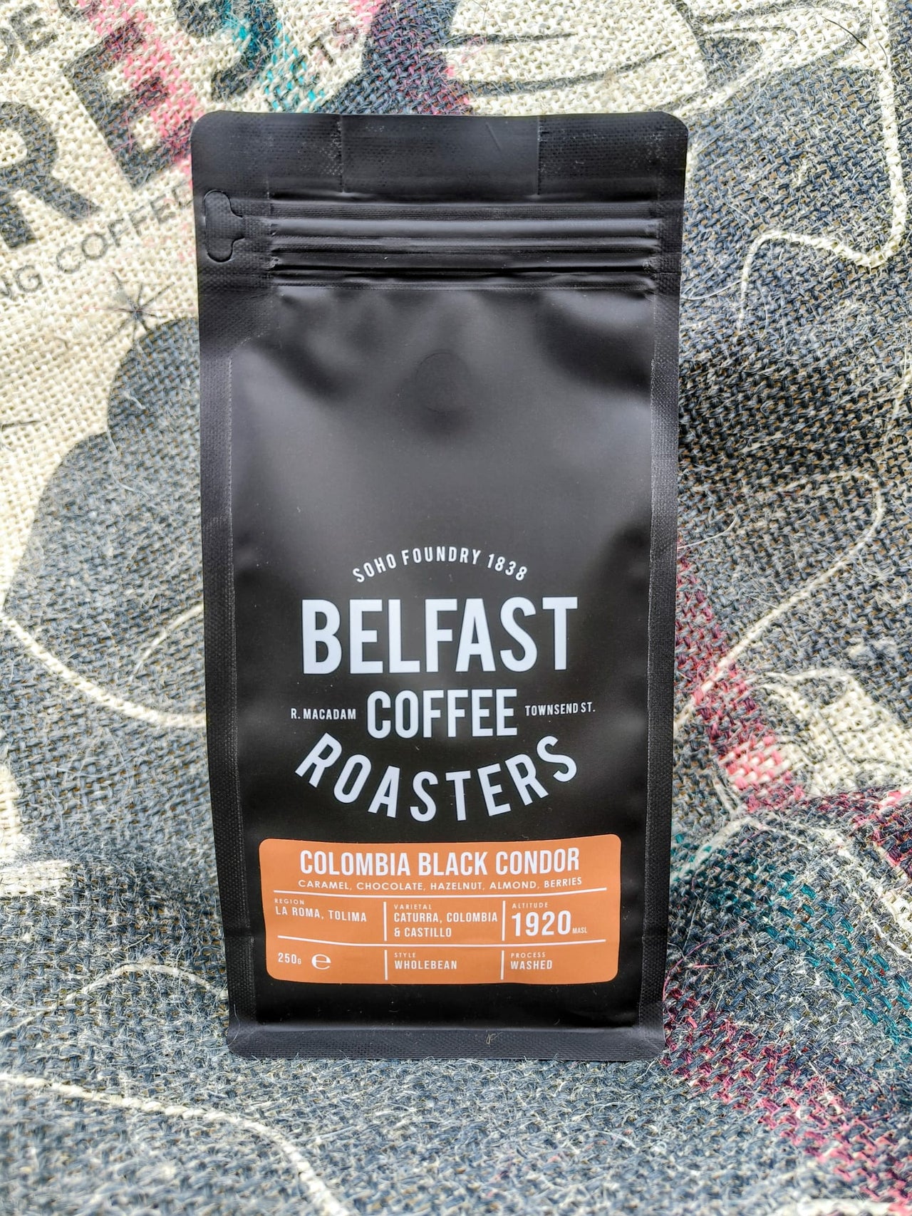 Colombia Black Condor