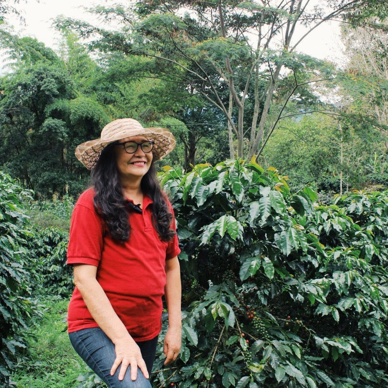 Colombia Black Condor