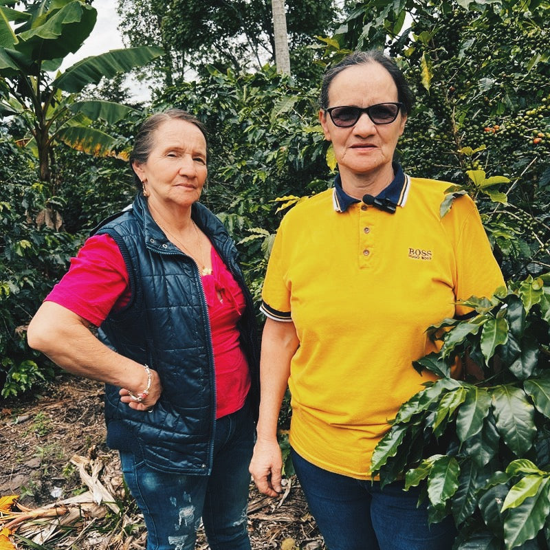Colombia Black Condor