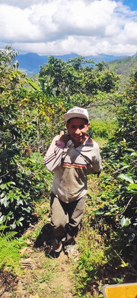 Thumbnail for Peru - Frutos del Corcovado