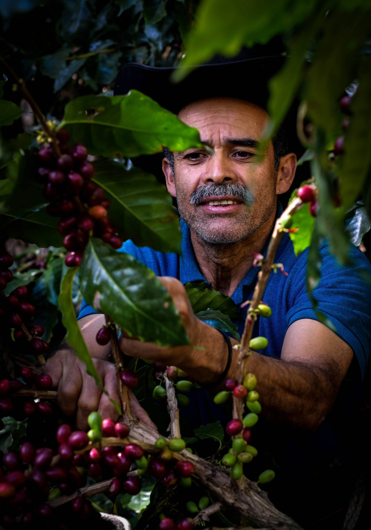 Guatemala Finca La Pila - Jorge Guzman