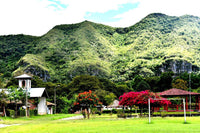 Thumbnail for Peru - La Danta