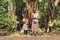 Thumbnail for Ethiopia Bule Adado Yirgacheffe Natural II