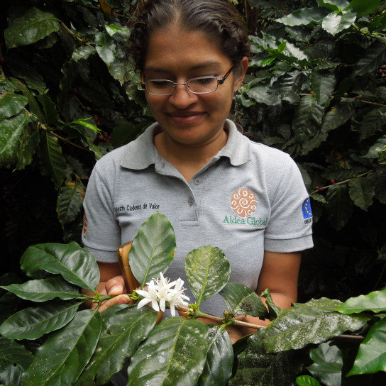 Nicaragua Aldea Global Jinotega Fair Trade