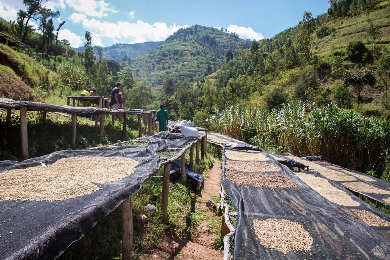 Rwanda Shyira