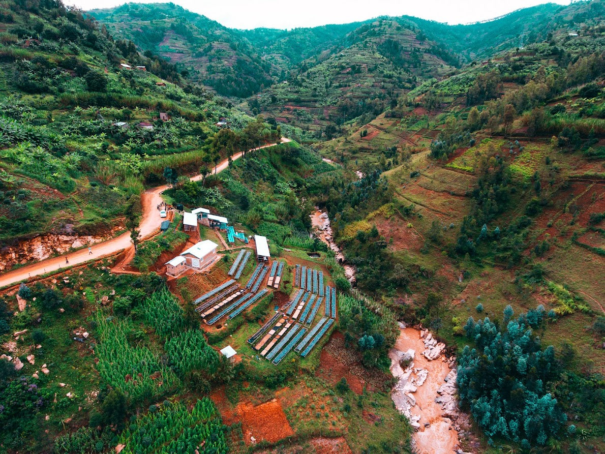 Rwanda Shyira